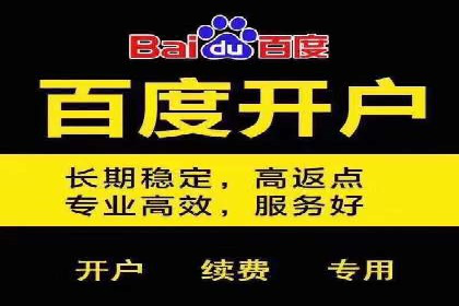 SEM精准广告投放的五大成功案例